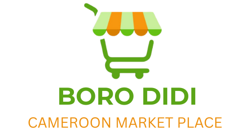 borodidi logo