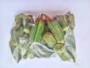 gombos frais du centre – sachet moyen. tendres et mucilagineux