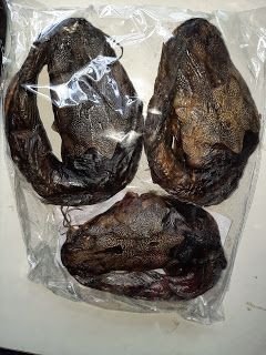 Têtes de Poisson Séchées – Emballage Transparent, 3 Pièces