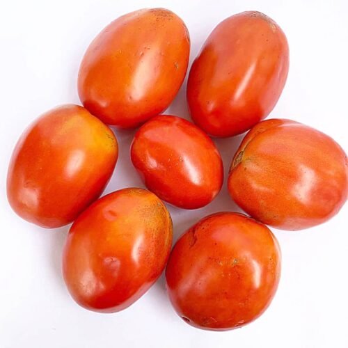 Tomates fraîches – Rouges, mûres et prêtes à savourer