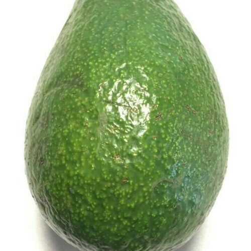 Avocat frais – Riche en saveur et idéal pour vos recettes