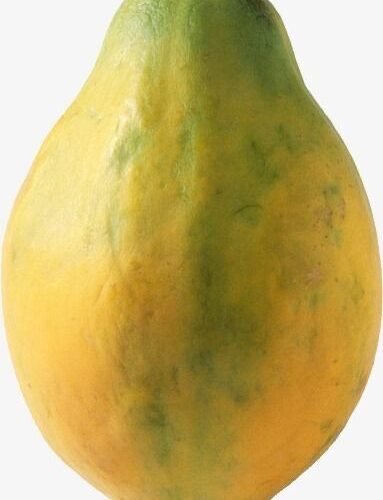 Papaye fraîche – Saveur exotique et riche en nutriments