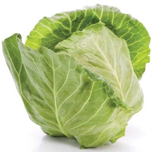 Chou vert frais – Croquant, nourrissant et prêt à cuisiner