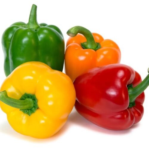 Poivrons multicolores frais – Croquants, vifs et pleins de saveur