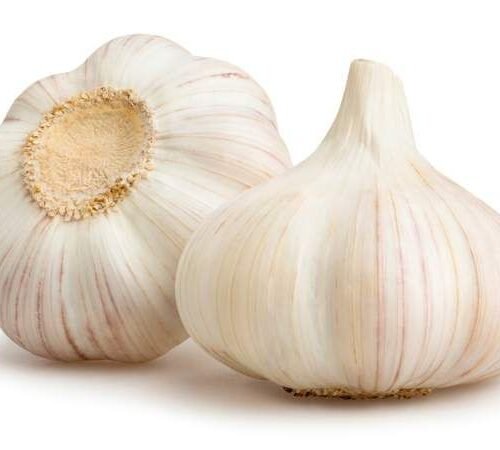 Gousses d’ail moyennes – Sachet de 250 g fraîches et parfumées