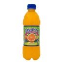 tampico 450 cl boisson fruitée rafraîchissante, grand format