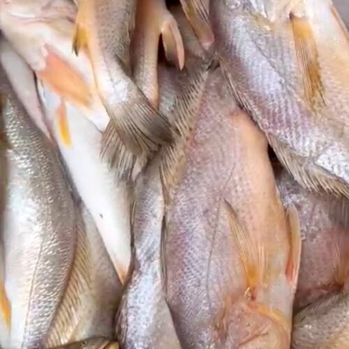 bossus de youpwe paquet de 2 kg