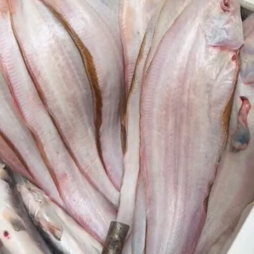 img 20260216 152940.jpg