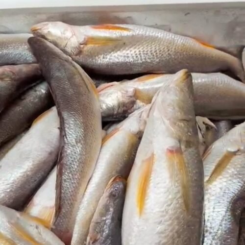 img 20260216 153445.jpg