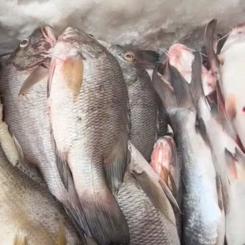 img 20260216 154332.jpg