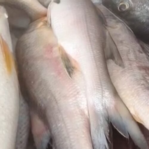 img 20260216 155859.jpg