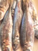 img 20260312 121334.jpg