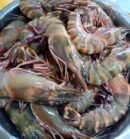 img 20260420 205606.jpg