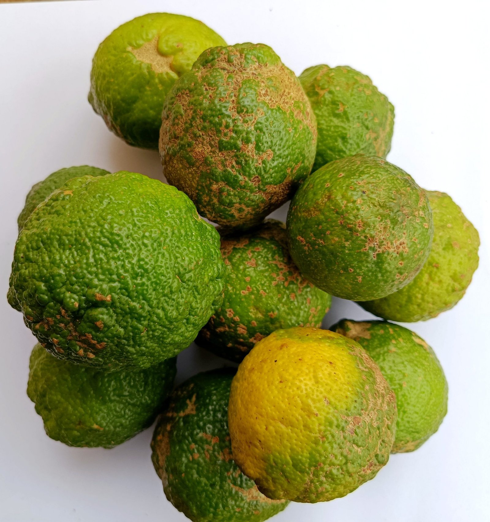 lemons frais de saison