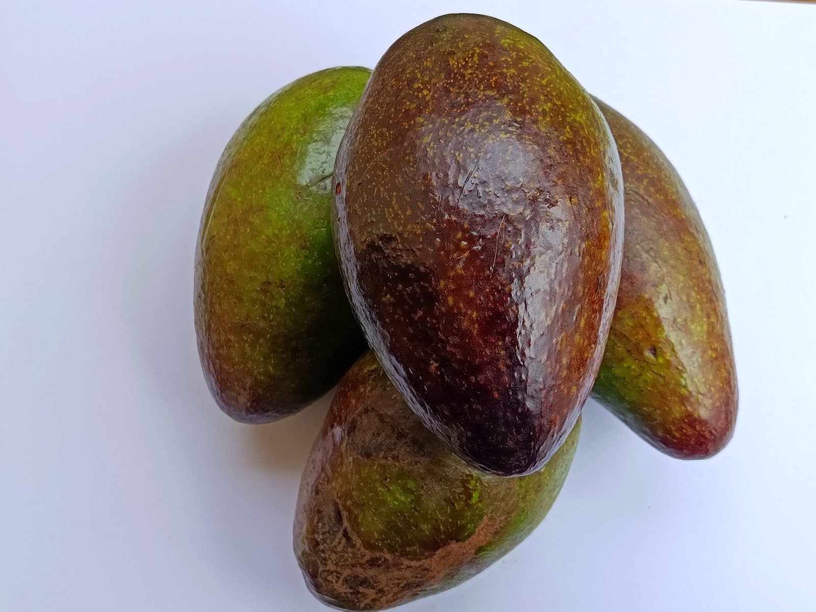 avocats frais de saison X 4